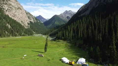 Aerial Forward Flight over Empty Mountain Road Between Forest and Hill Video stock 332010361