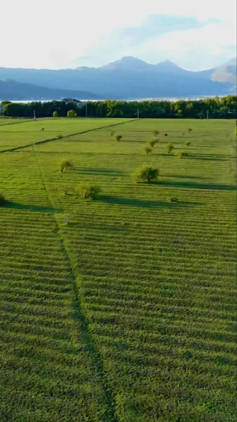 Aerial Forward Flight over Green Fields and Erhai Lake in Dali Stock Footage 329258229