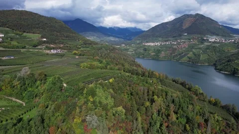 Aerial forward flight over green vineyards with Santa Giustina Lake view Stock Footage 331687298