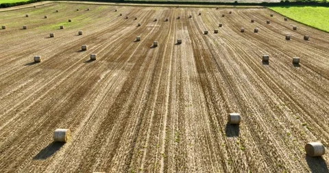 Aerial Forward Flight over Harvested Field with Round Straw Bales in Ireland Stock Footage 341849220