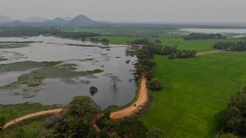 Aerial Forward Flight Over Lake Tracking Tuk Tuk Stock Footage 345985977