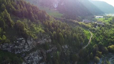 Aerial Forward Flight over Mountain Forest Road with Bright Sun Flare Video stock 332205168