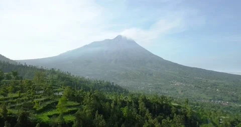 Aerial forward flight over vegetable plantation and giant Merapi Volcano Vidéo 198204256