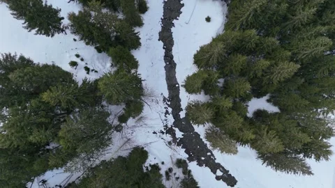 Aerial forward flight over winter forest,Saalbach- Hinterglemm, Lengau. Vídeos de archivo 329575038