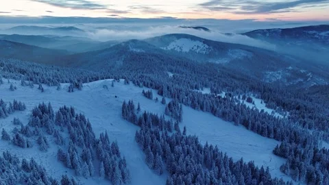 Aerial forward flight over winter forest on Pilsko slopes at sunset Stock Footage 336365976
