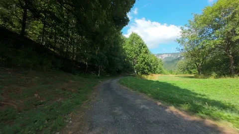 Aerial Forward Flight Reveals Mountain Peak Through Forest Stock Footage 341830127