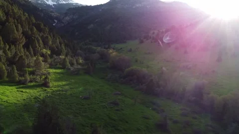 Aerial Forward Flight to Sun-Drenched Mountain Meadow with Sun Flare Stock Footage 332216812