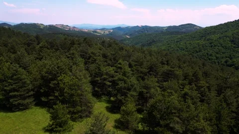 Aerial forward flyover revealing dense green forest and mountain ranges Serbia Stock Footage 342241380