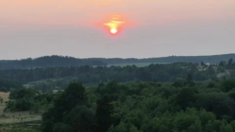 Aerial forward motion over forest at sunset Stock Footage 263511558