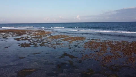 Aerial Forward Motion Over Tropical Coastline and Blue Sea Bali Stock-Footage 332357323