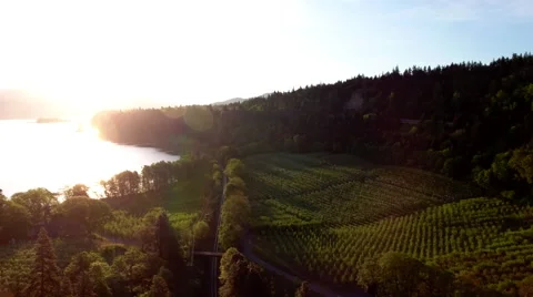 Aerial Forward push over farm land on the Columbia river gorge. Stock Footage 68769878