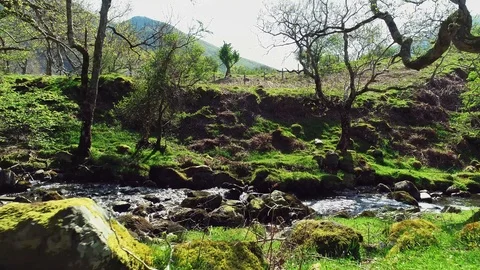 Aerial forward reveal through trees by a flowing river on a Summer day Stock Footage 89700041