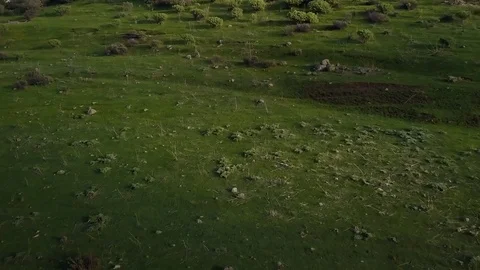 Aerial forward reveals deep valley and mountains in Canary Islands 4K Video stock 101566187