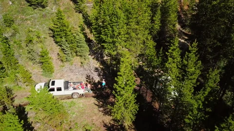 Aerial Forward Shot Of Lumberjacks Loading Logs In Truck At Forest - Billings, Video stock 244007329