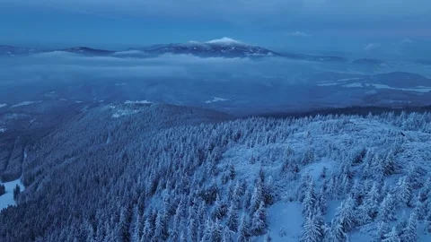 Aerial forward shot over snowy spruce forest towards Babia Gora peak Stock Footage 336366109
