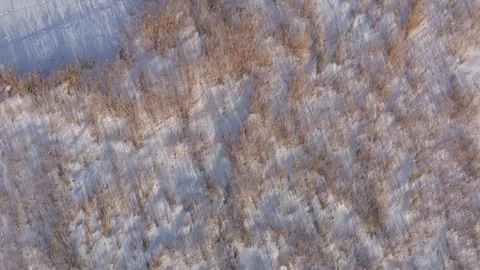 Aerial forward top-down: Reeds on a frozen snow swamp with mountain Stock Footage 127363752