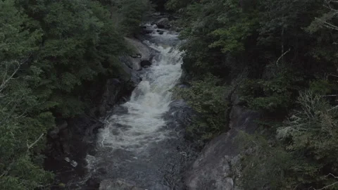 Aerial forward tracking of waterfall in forested canyon. Video stock 137279244