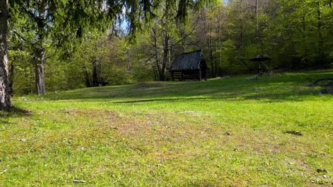 Aerial forward video of park located in deep forest during spring season Stock Footage 241285867