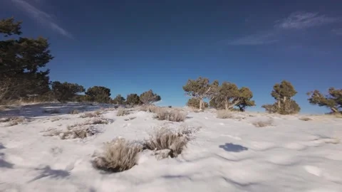 Aerial-FPV-Chasing drone shadow up snowy hill through sage and cedar trees Stock Footage 303869322