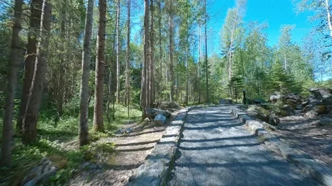 Aerial FPV drone view, in forest and stones Video stock 325773476