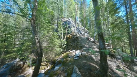 Aerial FPV drone view, in forest and stones Video stock 325773589