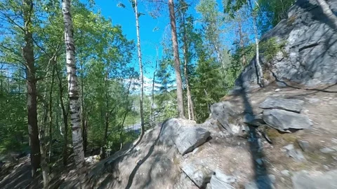 Aerial FPV drone view, in forest and stones Vídeo Stock 325773624