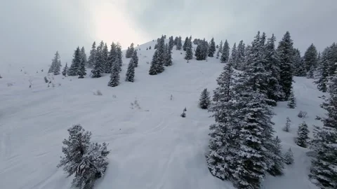 Aerial FPV Flight Over Winter Wonderland Forest Alps, 4K Stock Footage 323463744