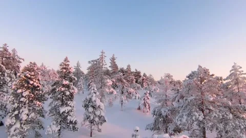 Aerial fpv view of a forest with snow in Aavasaksa, Lapland, Finland. Stock Footage 208838369