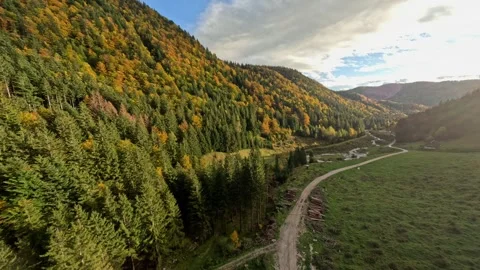 Aerial FPV View: Soaring Over a Golden Autumn Forest Canopy and Scenic Treetops Stock Footage 321149663