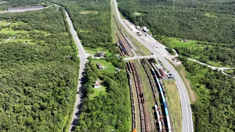 Aerial Freight Rail Yard and Road Through Forest Vidéo 344684013