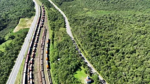 Aerial Freight Train and Road Curving Through Forest Stock Footage 344685397