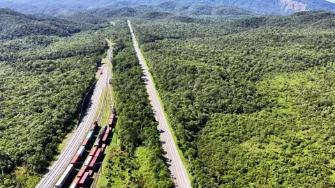 Aerial Freight Train and Road Curving Through Forest Stock Footage 344685402