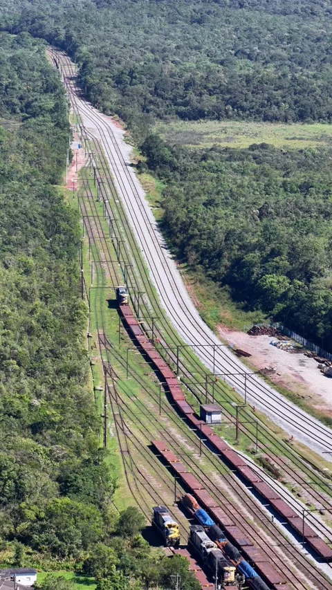 Aerial Freight Train Tracks Through Forest, Vertical Vídeos de archivo 344683457