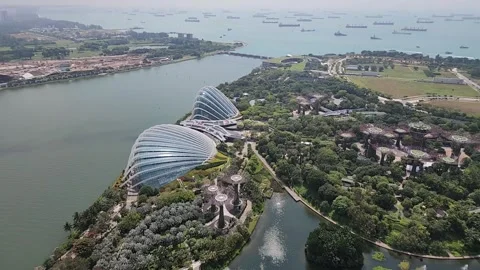 Aerial of Gardens By The Bay, Cloud Forest, Flower Dome, and the coastline Stock Footage 336971335