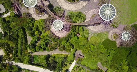 Aerial of Gardens By The Bay, Marina Stock Video Pond5