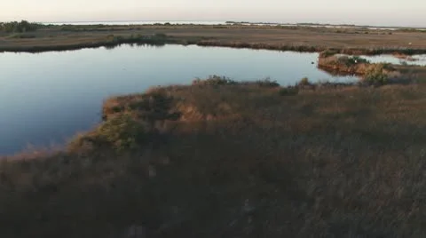 Aerial Glades Low Sunset Video stock 8987364