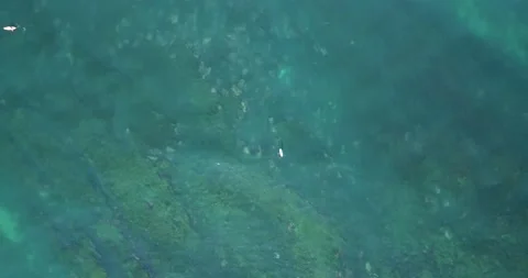 Aerial glide over emerald ocean swell towards the La Jolla tide pools Video stock 182534422