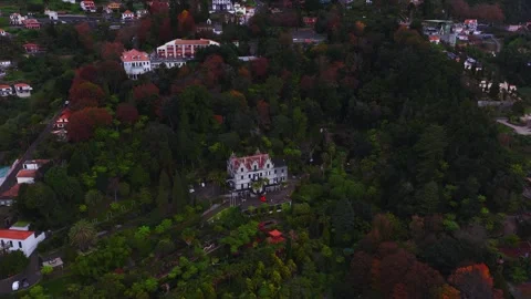 Aerial glide over Monte Palace Tropical Garden in Funchal, Madeira Stock Footage 323447311