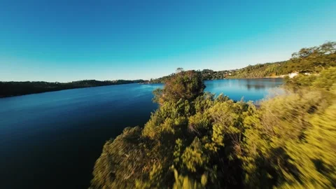 Aerial glide over serene lake, green trees sway at Castelo de Bode Stock Footage 342272003