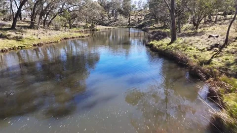 Aerial Glide Over Tranquil Stream in Australian Woodland Vídeo Stock 314301116