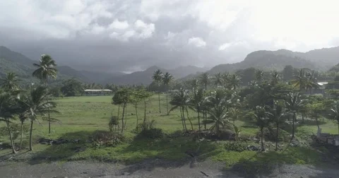 Aerial glides by dramatically lit Caribbean coastline of palm trees Video stock 78343707