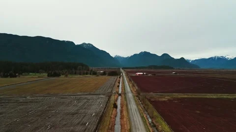 Aerial glides forward above long narrow road splitting dark red cranberry bogs Stock Footage 337735636