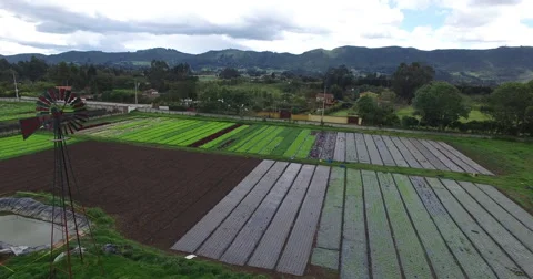 Aerial gliding along the side of a lettuce farm in the countryside of Tenjo 스톡 동영상 68892002
