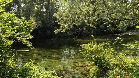 Aerial Glimpse of River Inside Ticino Natural Park Reserve Stock Footage 327923286