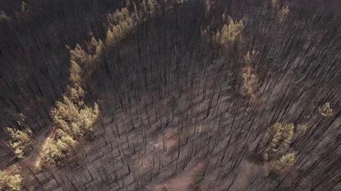 Aerial of global warming problems affected the nature. Stock Footage 159601510