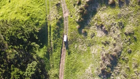 Aerial: Golf buggy bouncing off-road Vidéo 91059353
