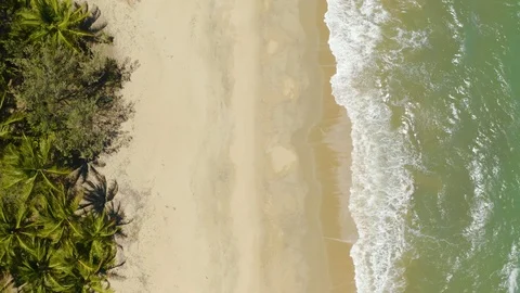 Aerial, gorgeous view on the ocean waves and tropical beach, top down view Stock Footage 113719702