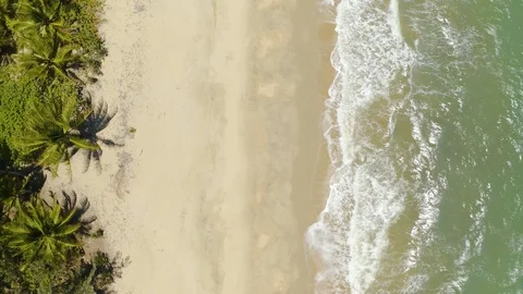 Aerial, gorgeous view on the ocean waves and tropical beach, top down view Stock Footage 115832838