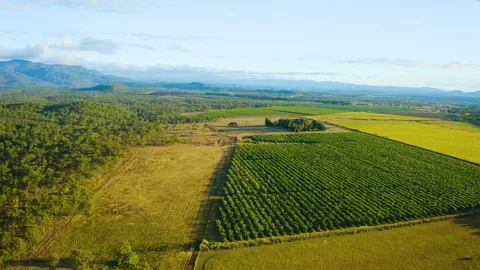 Aerial, gorgeous view on tablelands and plantations  in Queensland, Australia 스톡 동영상 117918841