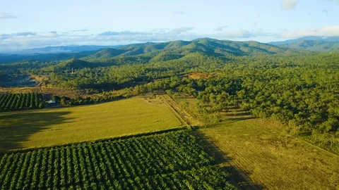Aerial, gorgeous view on tablelands and plantations  in Queensland, Australia Vidéo 124640366